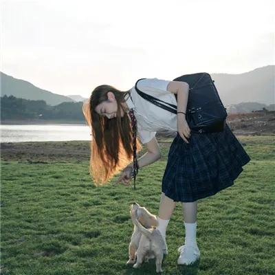 野放动物